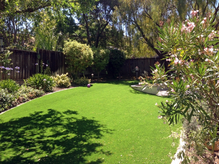 Grass Carpet Bradley Junction, Florida Landscape Design, Backyard Design