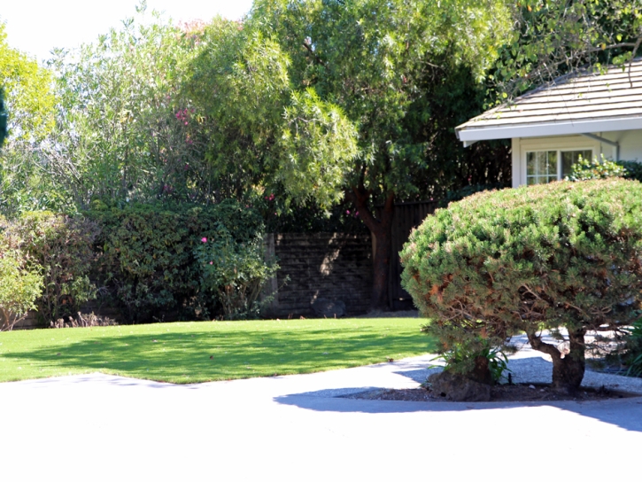 Grass Carpet Dade City, Florida Landscape Design, Front Yard