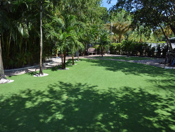 Grass Carpet High Point, Florida Backyard Playground, Commercial Landscape