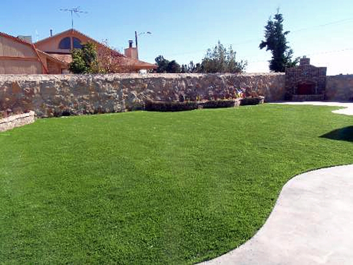 Grass Carpet High Point, Florida Roof Top, Backyard