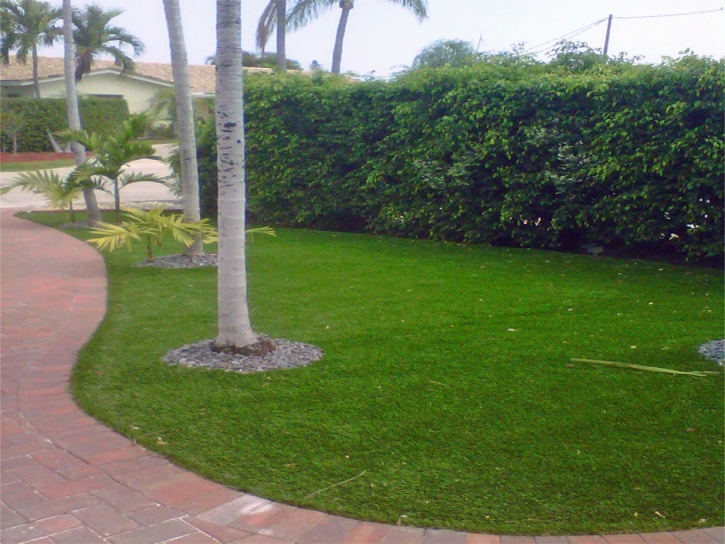 Grass Carpet Homosassa Springs, Florida Backyard Deck Ideas, Front Yard Design