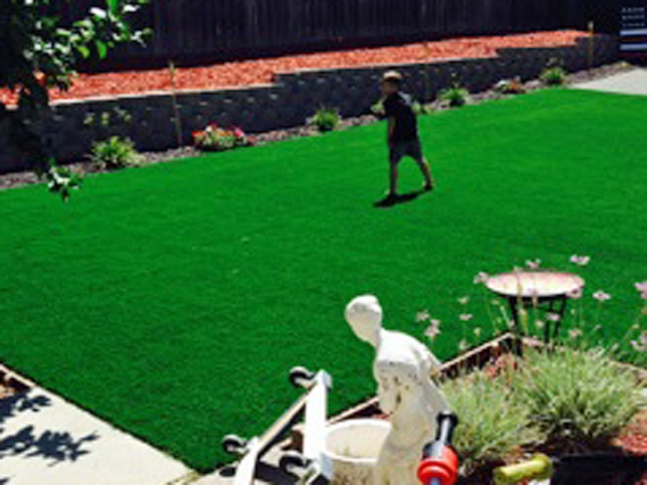 Grass Carpet Longwood, Florida City Landscape, Backyard Designs