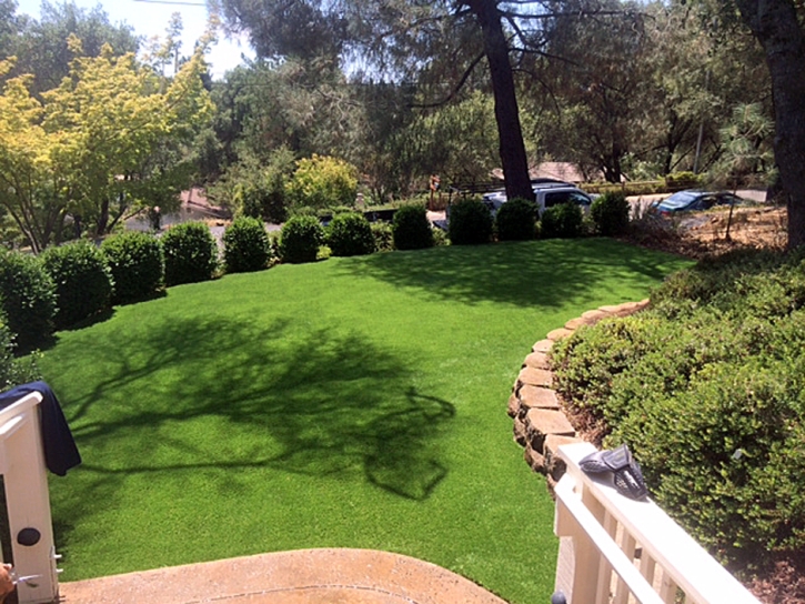 Grass Carpet Saint Petersburg, Florida Landscaping Business, Backyard