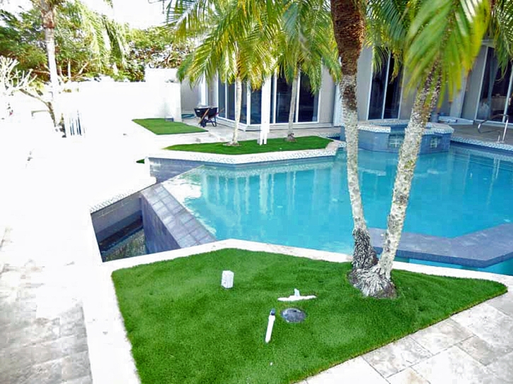 Grass Carpet Utopia, Florida Roof Top, Backyard Landscaping Ideas