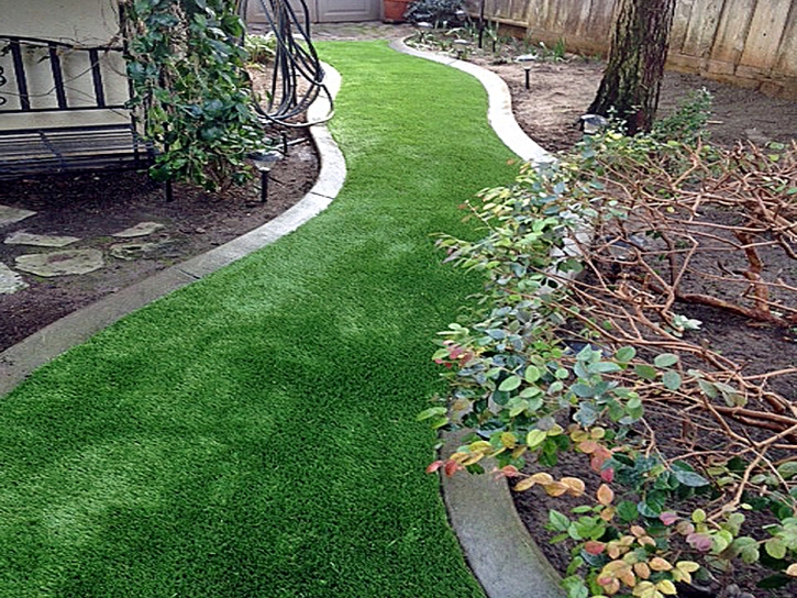 Grass Installation Hernando, Florida Backyard Playground, Small Backyard Ideas