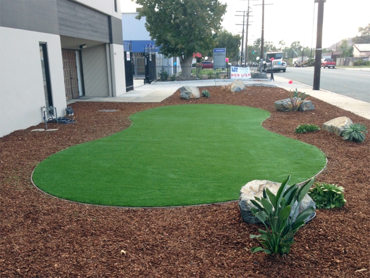 Grass Installation Palmetto, Florida Landscape Photos, Commercial Landscape