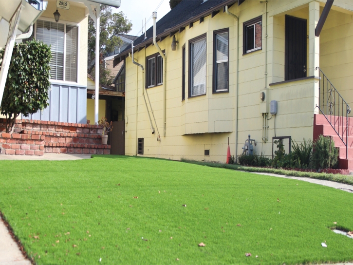 Grass Installation Polk City, Florida Garden Ideas, Front Yard