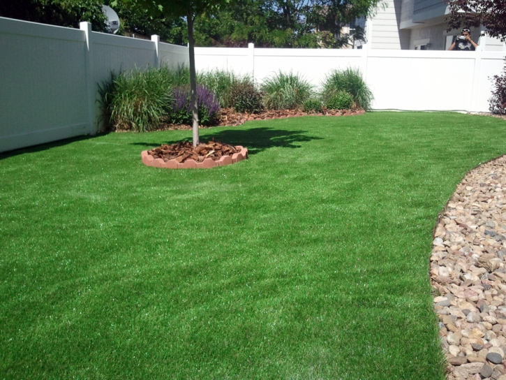 Grass Installation West and East Lealman, Florida Roof Top, Backyard Designs