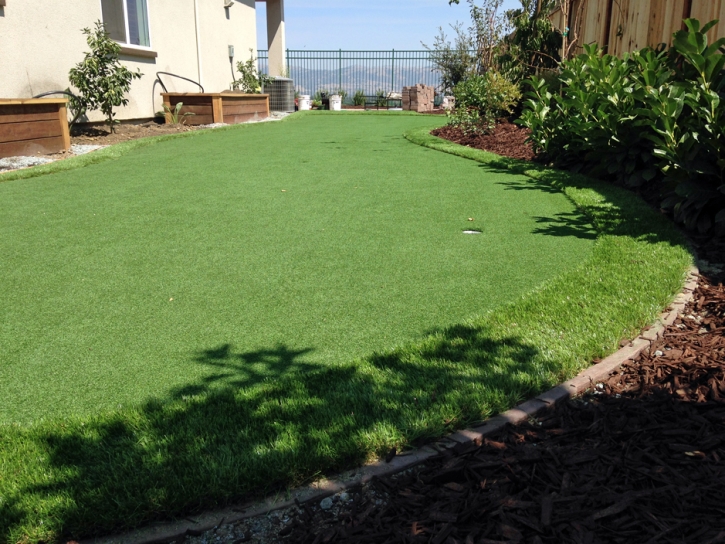 Grass Turf Auburndale, Florida Gardeners, Backyard Landscape Ideas