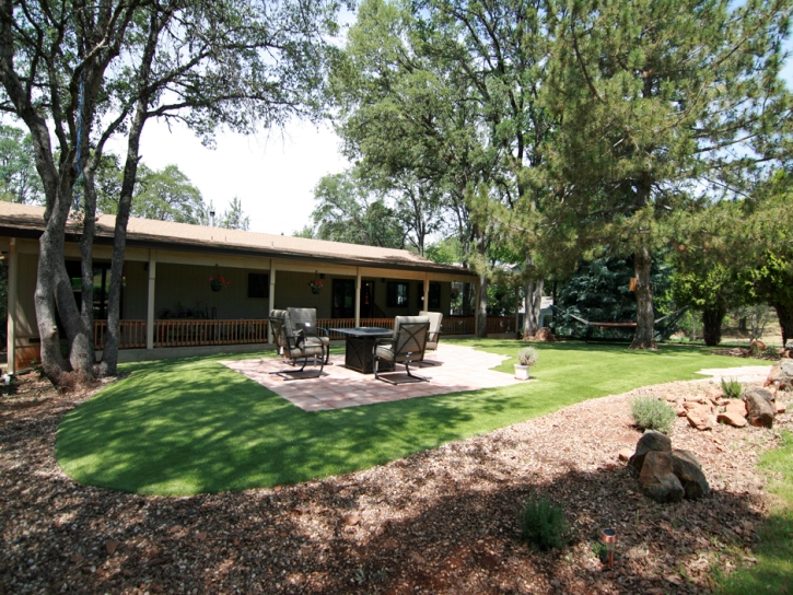 Grass Turf Belleair Beach, Florida Paver Patio, Backyard Garden Ideas