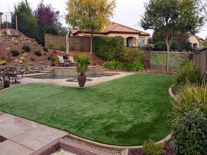 Grass Turf Bushnell, Florida City Landscape, Small Backyard Ideas