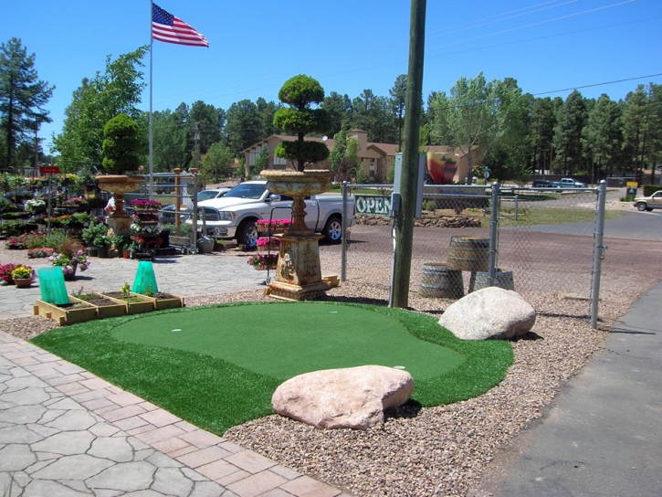 Grass Turf Inverness Highlands North, Florida Artificial Putting Greens, Commercial Landscape