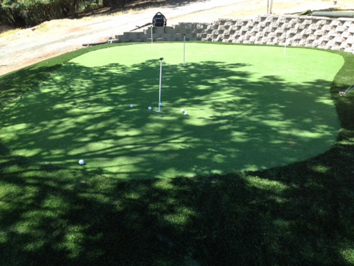 Grass Turf Odessa, Florida Office Putting Green, Beautiful Backyards