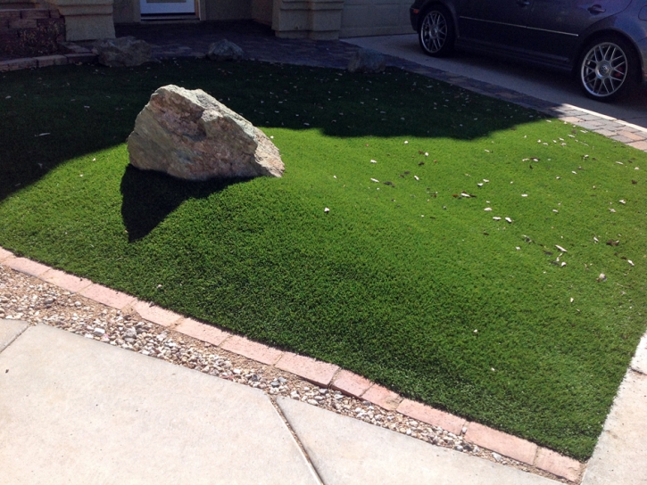 Grass Turf Ponce Inlet, Florida City Landscape