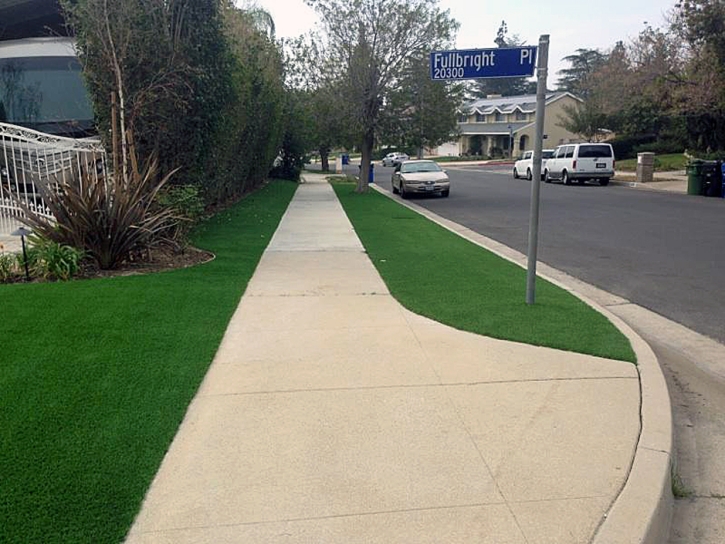 Grass Turf Safety Harbor, Florida Landscape Rock, Front Yard Landscape Ideas