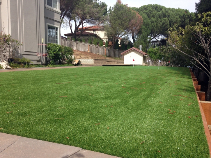 Green Lawn Andrews, Florida Landscape Photos, Beautiful Backyards