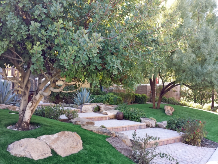 Green Lawn Astatula, Florida Gardeners, Beautiful Backyards