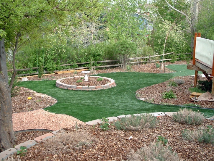 Green Lawn Clermont, Florida Home And Garden, Backyard Landscape Ideas