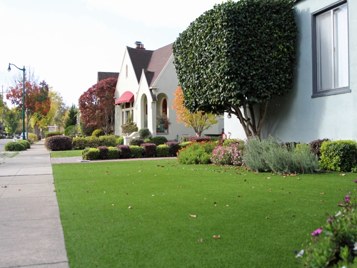 Green Lawn Eagle Lake, Florida Lawns, Front Yard Design