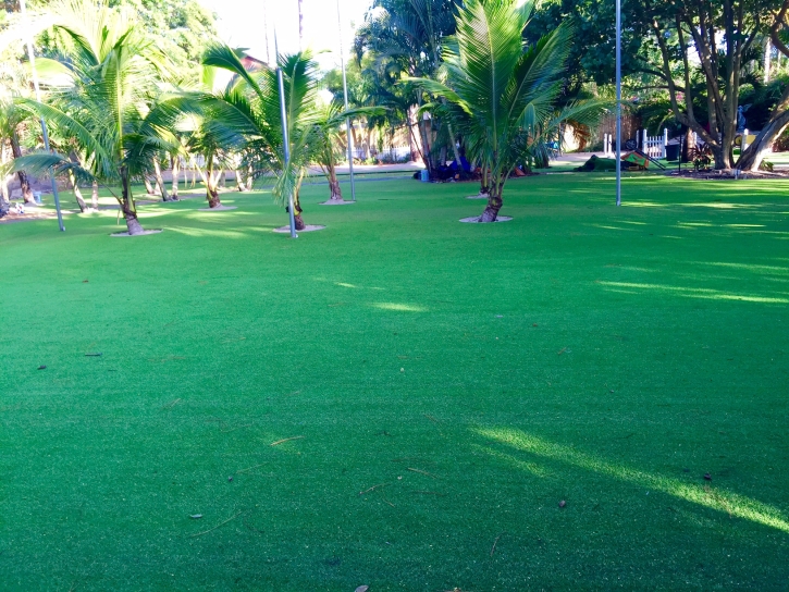 Installing Artificial Grass Belle Isle, Florida Home And Garden, Small Front Yard Landscaping