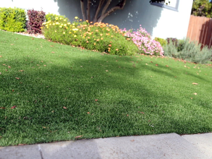 Installing Artificial Grass Garden Grove, Florida Landscape Photos, Front Yard Ideas