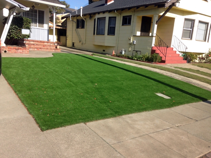 Installing Artificial Grass Masaryktown, Florida Design Ideas, Front Yard Design