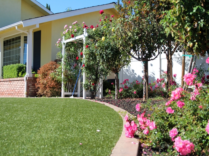 Installing Artificial Grass Port Saint John, Florida Landscaping Business, Landscaping Ideas For Front Yard