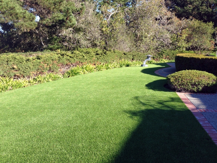 Lawn Services Inverness Highlands South, Florida Design Ideas, Front Yard Ideas