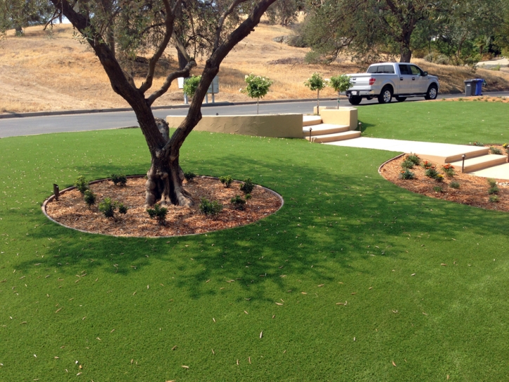 Outdoor Carpet Azalea Park, Florida Lawn And Landscape, Front Yard Landscaping