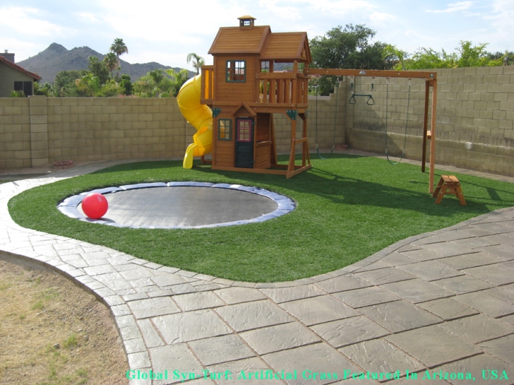 Outdoor Carpet Brandon, Florida Landscape Ideas, Beautiful Backyards