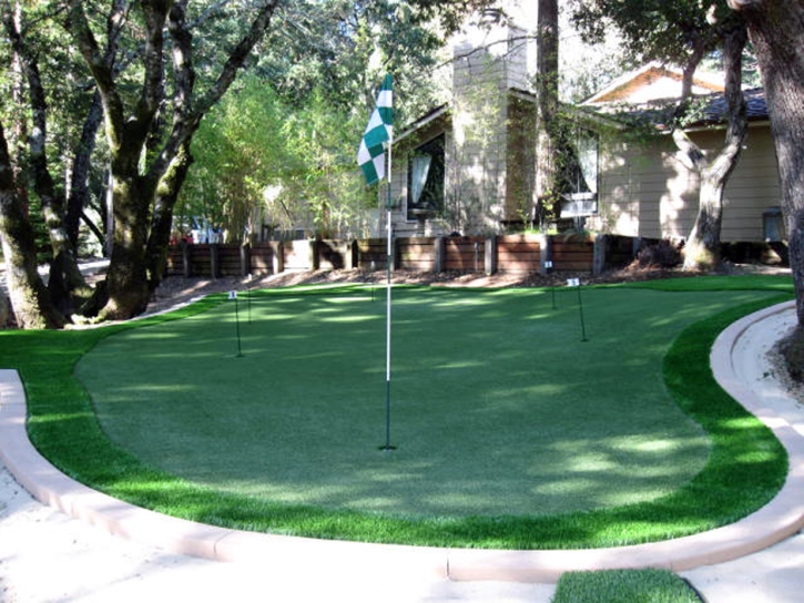 Outdoor Carpet Chuluota, Florida Putting Green Flags, Backyard Makeover