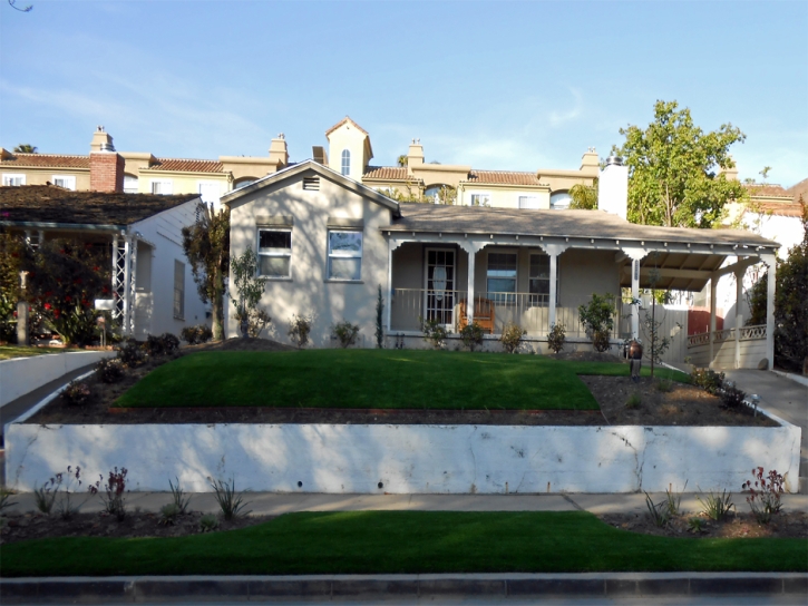 Outdoor Carpet Fern Park, Florida Backyard Playground, Front Yard Landscaping Ideas