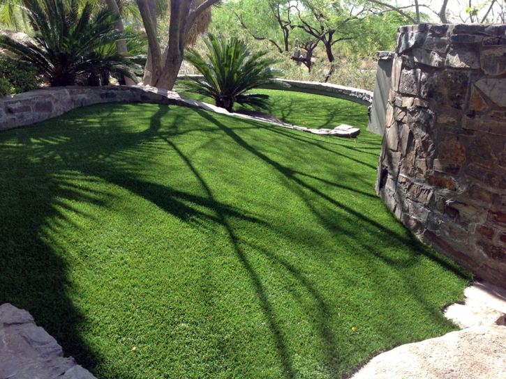 Outdoor Carpet Holly Hill, Florida Dog Running