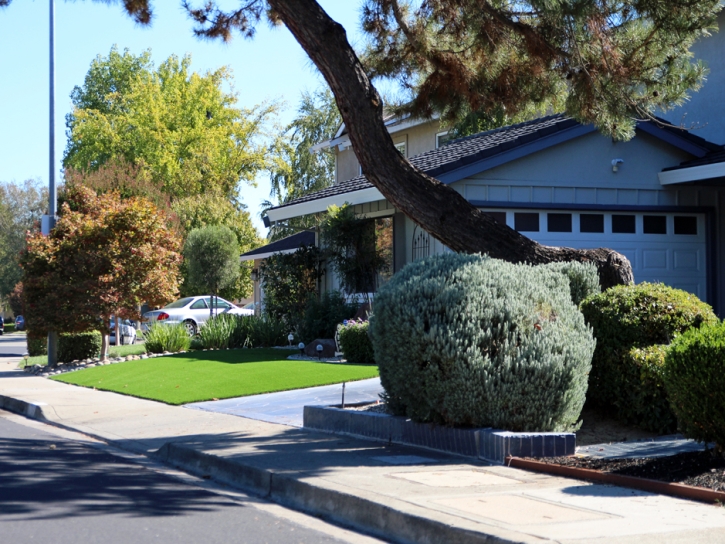 Outdoor Carpet Sharpes, Florida Lawn And Garden, Front Yard Landscaping