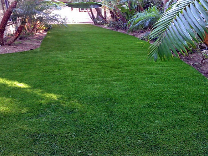 Plastic Grass Bayport, Florida City Landscape, Small Backyard Ideas