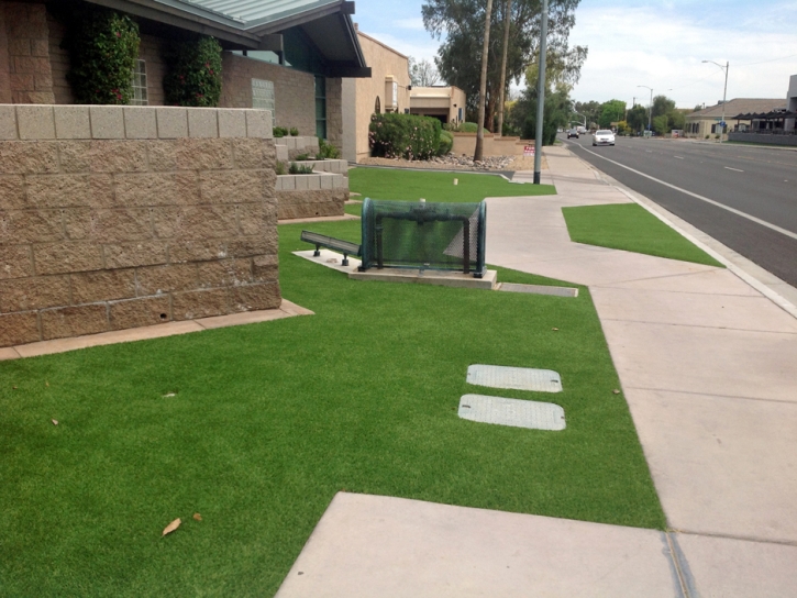 Plastic Grass Edgewater, Florida Backyard Playground, Front Yard Landscaping