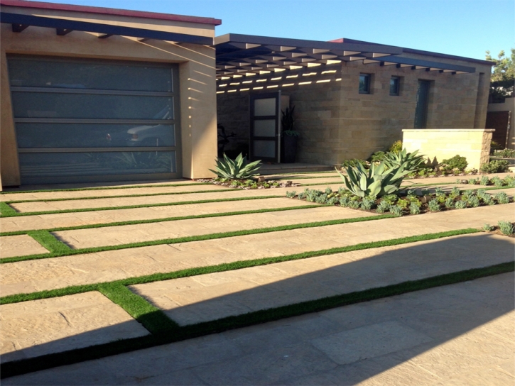 Plastic Grass Fairview Shores, Florida Rooftop, Landscaping Ideas For Front Yard