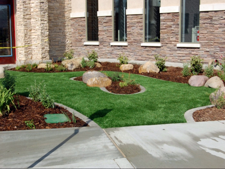 Plastic Grass Kathleen, Florida Landscaping Business, Commercial Landscape