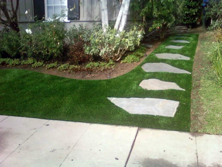 Plastic Grass Keystone, Florida Backyard Deck Ideas, Front Yard Landscaping Ideas