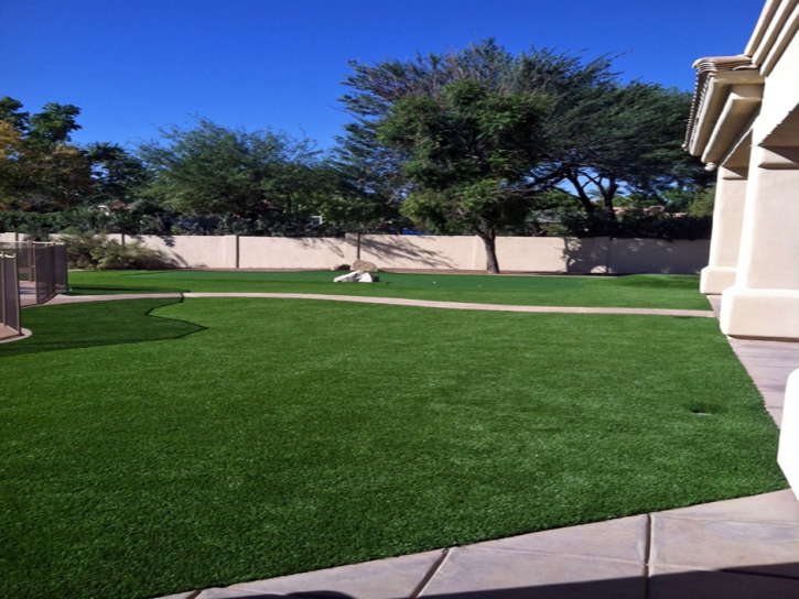 Plastic Grass South Brooksville, Florida Roof Top, Front Yard Ideas