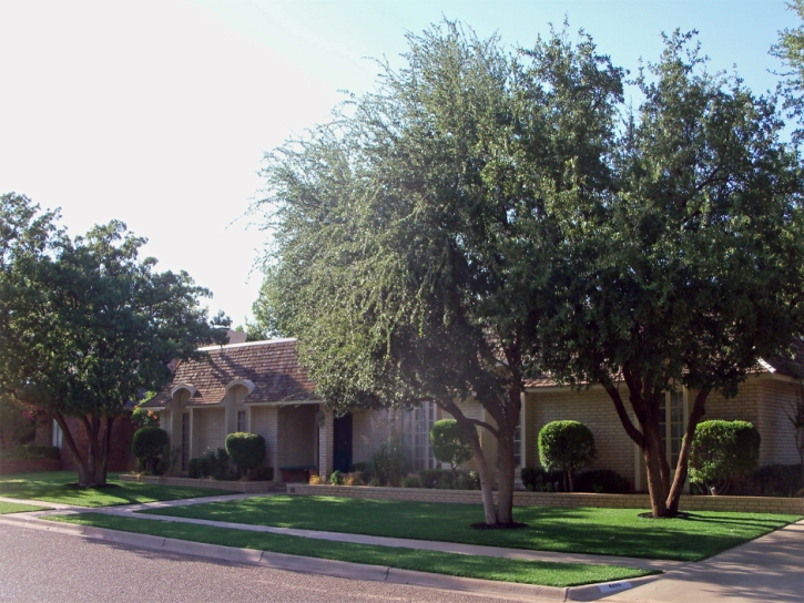 Plastic Grass Southeast Arcadia, Florida Landscape Photos, Front Yard Landscaping