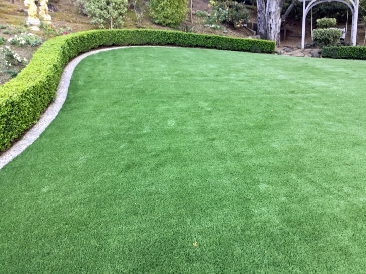 Synthetic Grass Cleveland, Florida Landscape Photos, Small Backyard Ideas