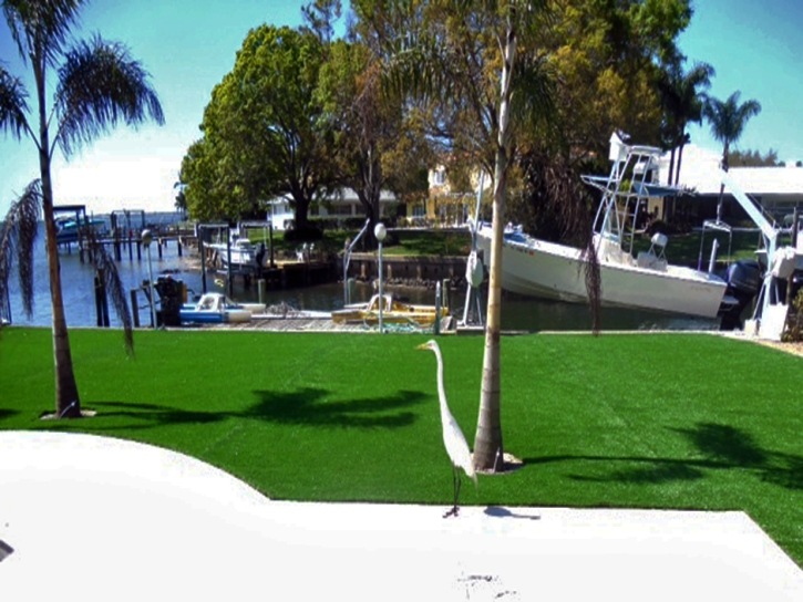 Synthetic Grass Cost Apollo Beach, Florida Lawn And Landscape, Small Backyard Ideas