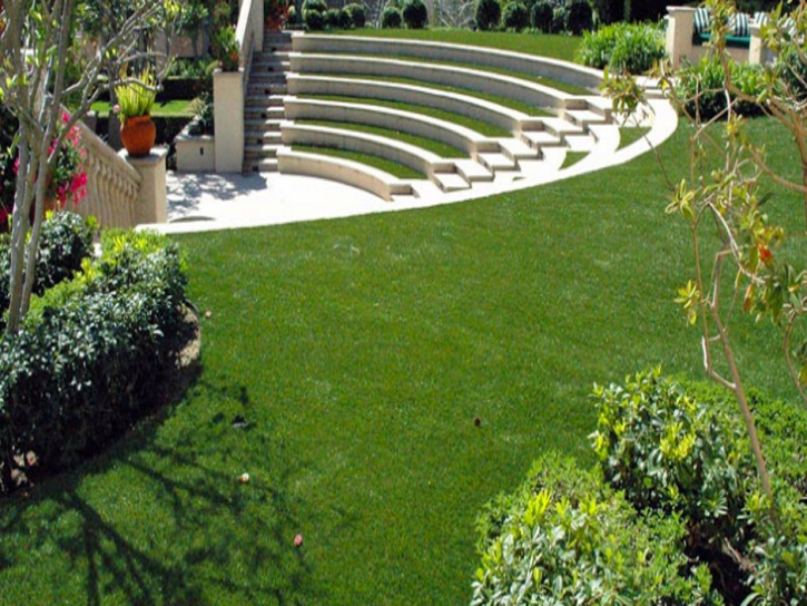 Synthetic Grass Cost Crystal Springs, Florida City Landscape