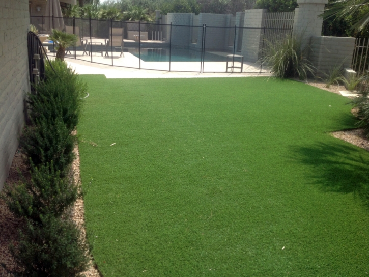 Synthetic Grass Cost Land O Lakes, Florida Landscaping, Pool Designs