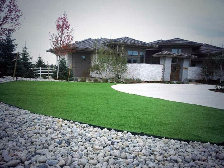 Synthetic Grass Cost Lemon Grove, Florida Roof Top, Front Yard Landscaping