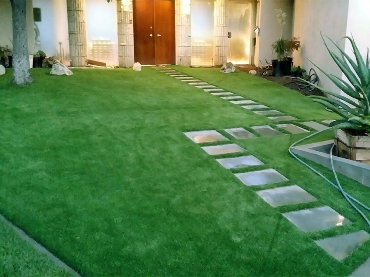 Synthetic Grass Cost Port LaBelle, Florida Lawn And Garden, Small Front Yard Landscaping