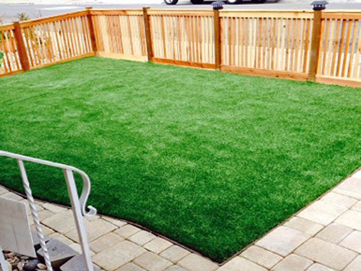 Synthetic Grass Cost Wedgefield, Florida City Landscape, Backyard Makeover