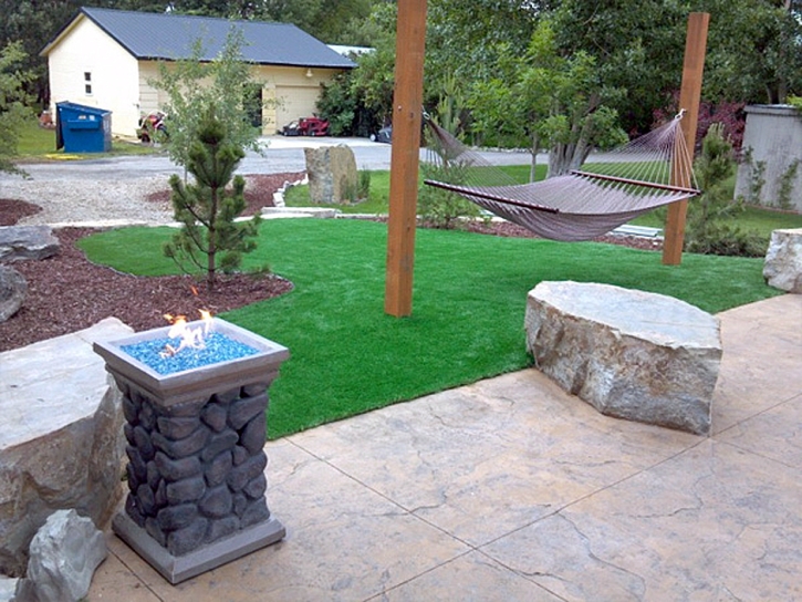 Synthetic Grass Edgewood, Florida Rooftop, Front Yard Landscaping