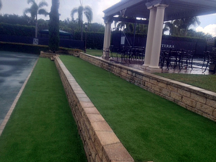 Synthetic Grass Holiday, Florida Design Ideas, Commercial Landscape